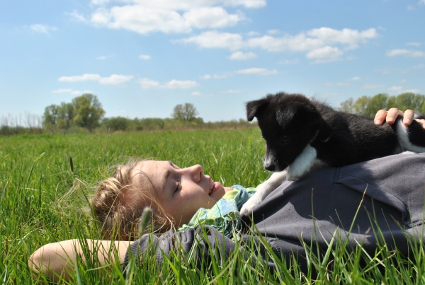 namasdog éducateur éducatrice comportementaliste canin chien chiens chiot positif éducation canine bienveillante positive renforcement crest drôme crestdromefrance 18 ans mala chiot