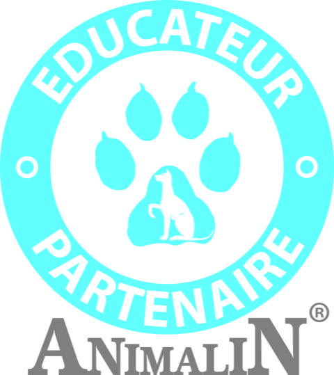 namasdog éducateur éducatrice comportementaliste canin chien chiens  chiot positif éducation canine bienveillante positive renforcement crest drôme crestdromefrance animalin