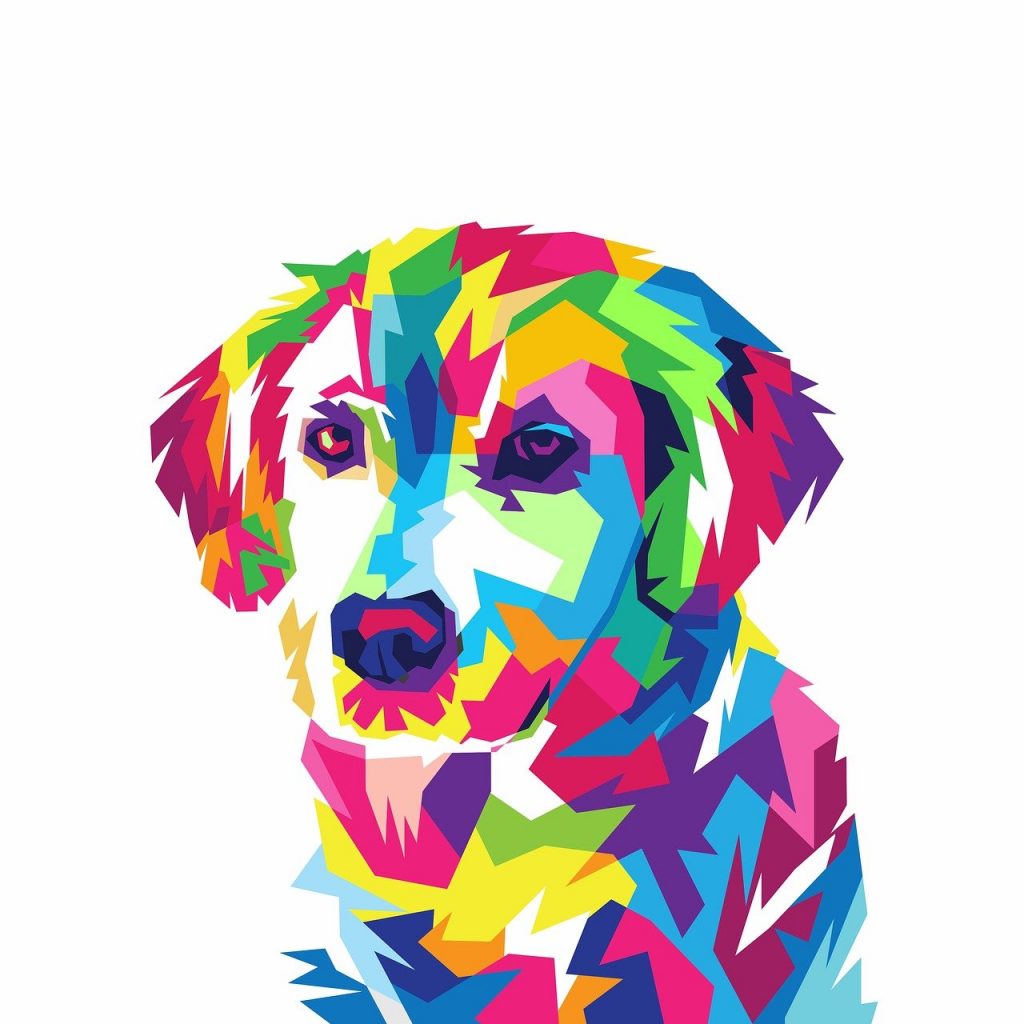 namasdog éducateur éducatrice comportementaliste canin chien chiens  chiot positif éducation canine bienveillante positive renforcement crest drôme drome crestdromefrance  vision couleur couleurs