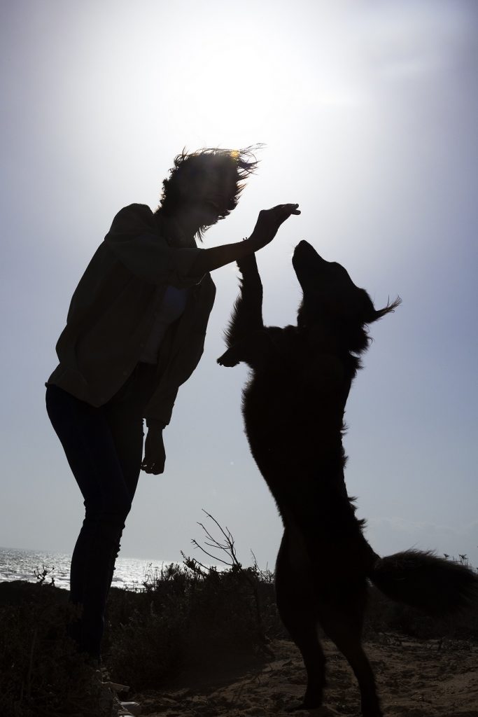 namasdog éducateur éducatrice comportementaliste canin chien chiens  chiot positif éducation canine bienveillante positive renforcement crest drôme drome crestdromefrance comment choisir son éducateur canin équipe