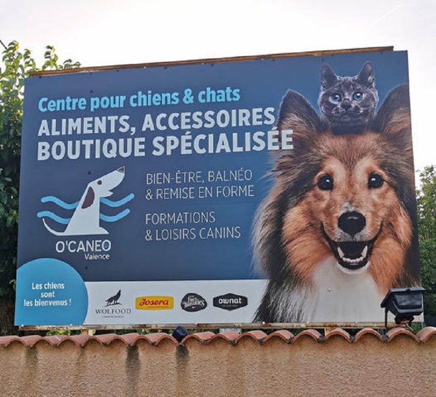 namasdog éducateur éducatrice comportementaliste canin chien chiens  chiot positif éducation canine bienveillante positive renforcement crest valence montélimar  drôme crestdromefrance boutique ocaneo o'caneo valence 