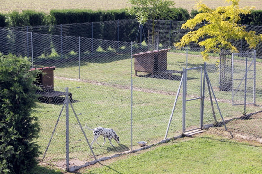 namasdog éducateur éducatrice comportementaliste canin chien chiens  chiot positif éducation canine bienveillante positive renforcement crest drôme crestdromefrance pension des bayannes alixan