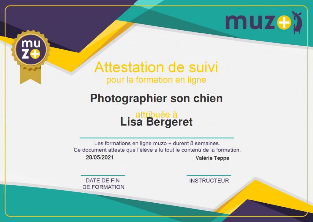 namasdog éducateur éducatrice comportementaliste canin chien chiens  chiot positif éducation canine bienveillante positive renforcement crest  valence montélimar drôme crestdromefrance muzo+ diplômes