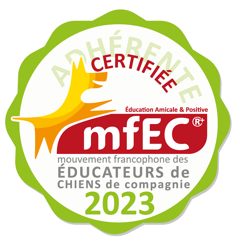 namasdog éducateur éducatrice comportementaliste canin chien chiens  chiot positif éducation canine bienveillante positive renforcement crest drôme crestdromefrance mfec