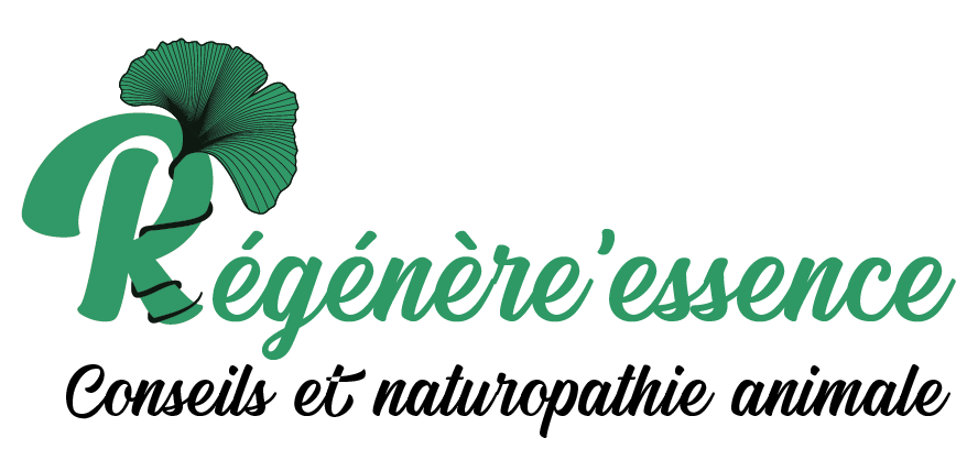 naturopathe animaliers namasdog éducateur éducatrice comportementaliste canin chien chiens  chiot positif éducation canine bienveillante positive renforcement crest valence montélimar drôme crestdromefrance régénère'essence léila soulié rochet