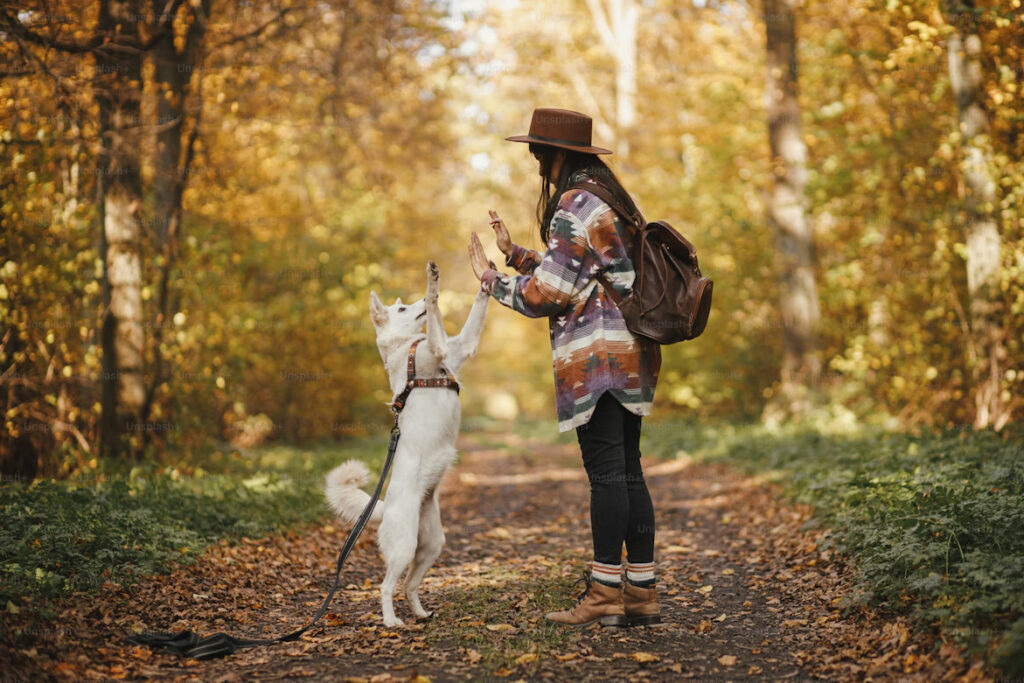 namasdog éducateur éducatrice comportementaliste canin chien chiens chiot chiots cours collectif positif éducation canine bienveillante positive renforcement crest  valence montélimar drôme drome crestdromefrance compagnon et dragon compagnons et dragons donjon donjons éducation chien rpg jeu de rôle classe canine immersive