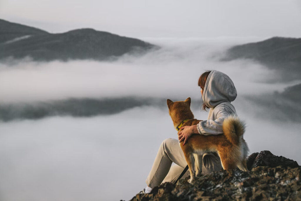 namasdog éducateur éducatrice comportementaliste canin chien chiens chiot chiots cours collectif positif éducation canine bienveillante positive renforcement crest valence montélimar drôme drome crestdromefrance compagnon et dragon compagnons et dragons donjon donjons éducation chien rpg jeu de rôle classe canine immersive