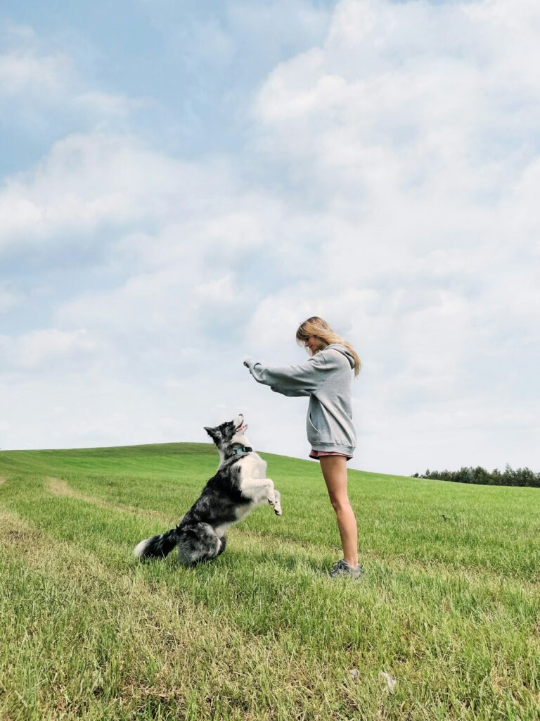 charte d'inscription